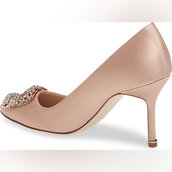Manolo Blahnik Hangisi Pointed Toe Pump - Picture 2 of 6
